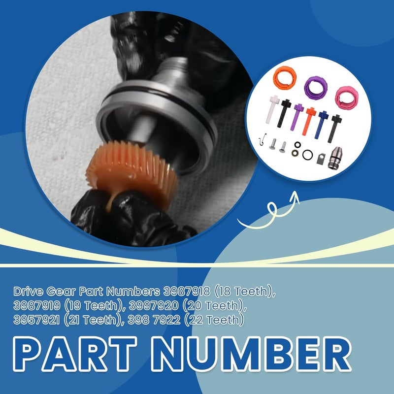 Ciuouient Speedometer Gear Kit (17 18 19 20 21 22 Teeth Speedometer Driven Gear, 7 8 10 Teeth Speedometer Drive Gear and Bullet) Compatible with GM Powerglide Turbo Th350 - Image 5